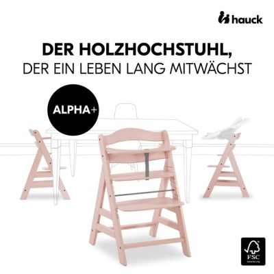 Hauck Alpha + Holzhochstuhl